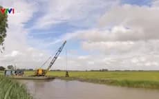 Cánh đồng lớn – An Giang (Đê bao & GT)